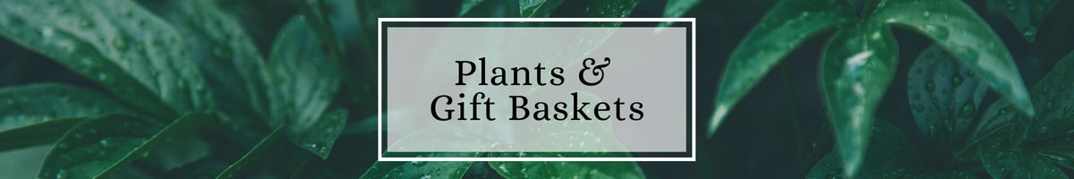 Plant and Gift Baskets